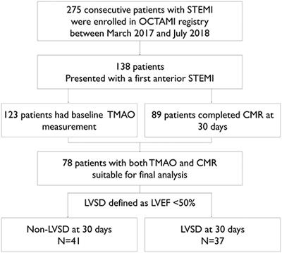 Trimethylamine N-Oxide Was Not Associated With 30-Day Left Ventricular Systolic Dysfunction in Patients With a First Anterior ST-Segment Elevation Myocardial Infarction After Primary Revascularization: A Sub-analysis From an Optical Coherence Tomography Registry